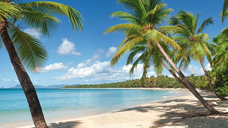 The tropical beaches of Martinique